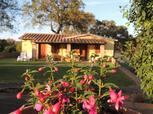 Castiglione della Pescaia Italien Last-Minute-Rabattcode Booking.com