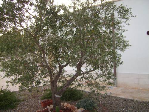 Martina Franca Italy Last Minute Discount Code Booking.com