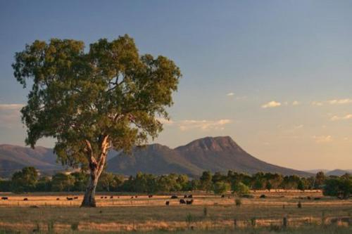 Thornton (VIC) Australia Last Minute Discount Code Agoda.com