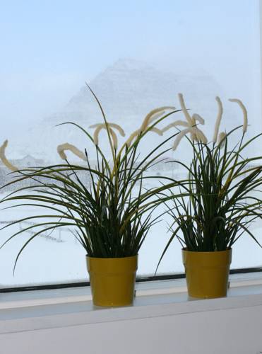 Grundarfjordur Iceland Last Minute Discount Code Booking.com
