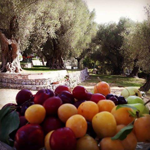 San Giovanni a Piro Italy Last Minute Discount Code Agoda.com