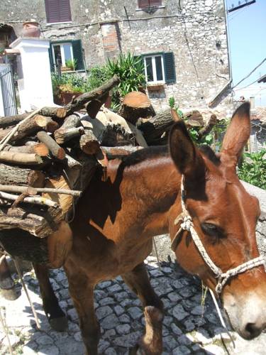 Artena Italy Last Minute Discount Code Booking.com