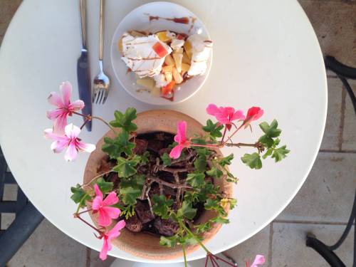 Rosh Pinna Israel Last Minute Discount Code Booking.com