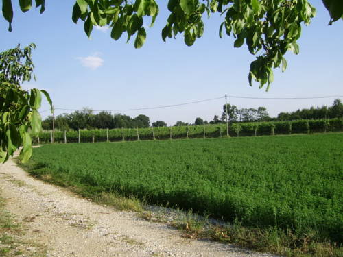 Puegnago Del Garda Italien Last-Minute-Rabattcode Booking.com
