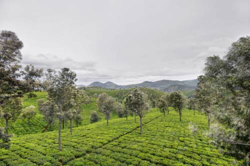 Coonoor Indien Last-Minute-Rabattcode Booking.com