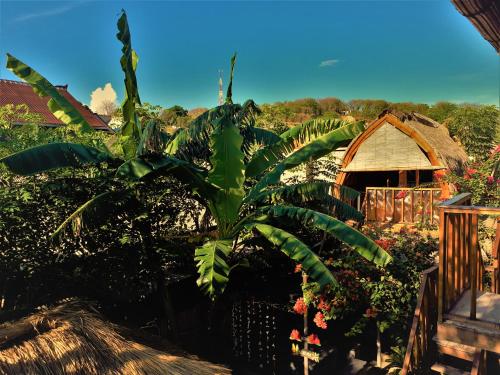 Lombok Indonesia Last Minute Discount Code Agoda.com