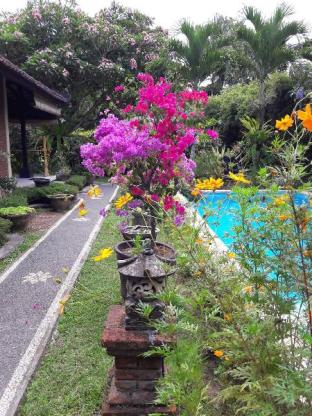 Bali Indonesia Last Minute Discount Code Agoda.com