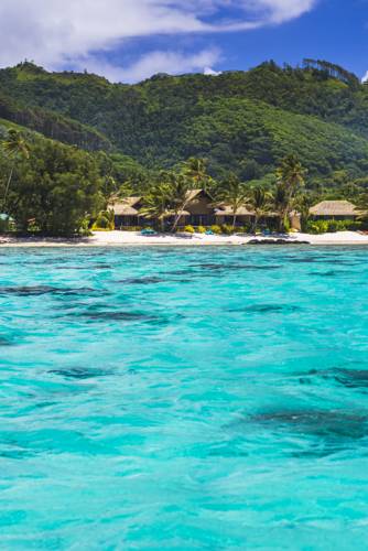 Rarotonga Cook Islands Last Minute Discount Code Booking.com