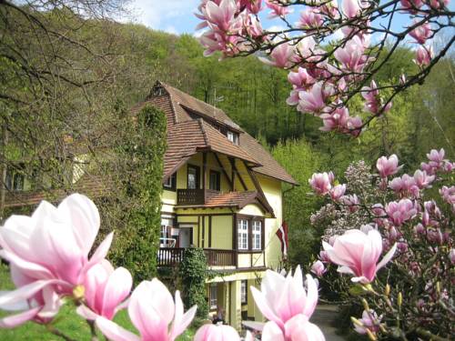 Freiburg im Breisgau Germany Last Minute Discount Code Booking.com
