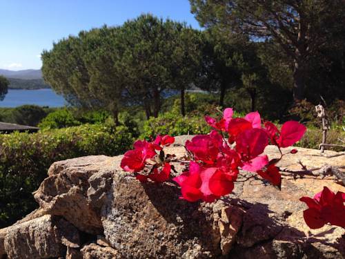 Santa Teresa Di Gallura Italia Último Minuto Código de Descuento Booking.com
