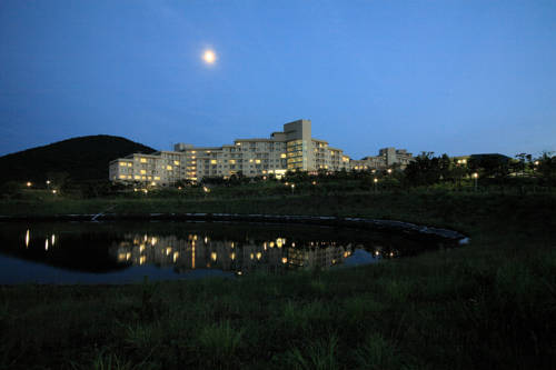 Jeju South Korea Last Minute Discount Code Booking.com