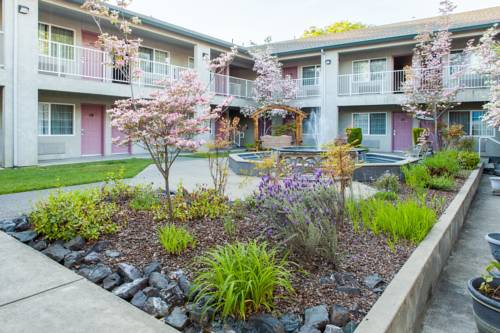Willits (California) United States Last Minute Discount Code Booking.com