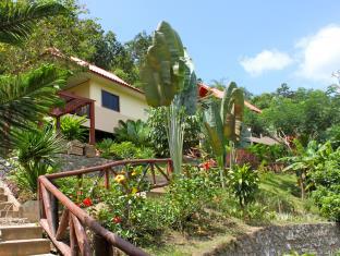 Chiang Dao Thailand Last Minute Discount Code Agoda.com