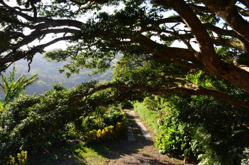 Cebadilla Costa Rica Last Minute Discount Code Booking.com