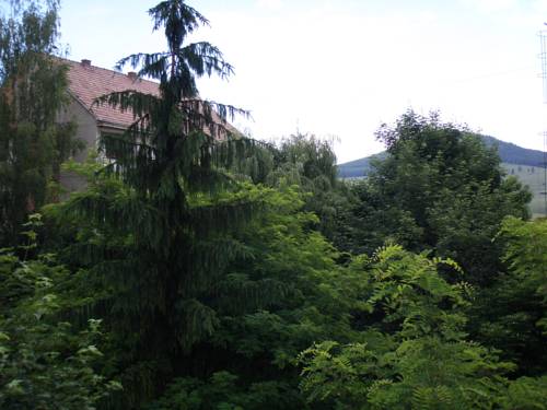 Miercurea-Ciuc Rumänien Last-Minute-Rabattcode Booking.com