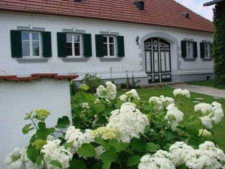 Markt Allhau Austria Last Minute Discount Code Booking.com