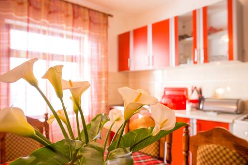 Kotor Montenegro Last Minute Discount Code Booking.com