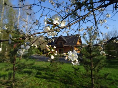 Rzyki Poland Last Minute Discount Code Booking.com