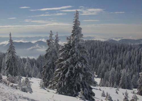 Pamporovo Bulgarien Last-Minute-Rabattcode Booking.com