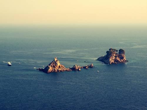Petrovac na Moru Montenegro Last Minute Discount Code Booking.com