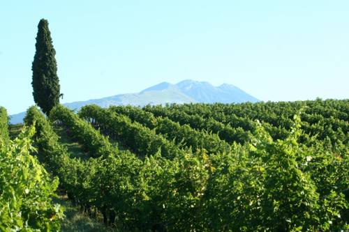 Lazise Italy Last Minute Discount Code Booking.com