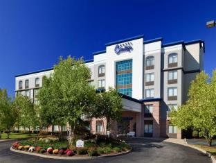 Latham (NY) United States Last Minute Discount Code Agoda.com
