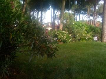 Isola Albarella Italia Último Minuto Código de Descuento Booking.com