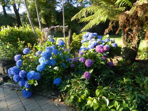 Blenheim New Zealand Last Minute Discount Code Booking.com