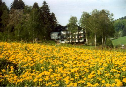 Wald-Michelbach Germany Last Minute Discount Code Booking.com