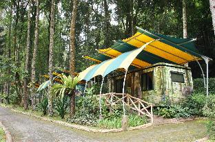 Puncak Indonesia Last Minute Discount Code Agoda.com