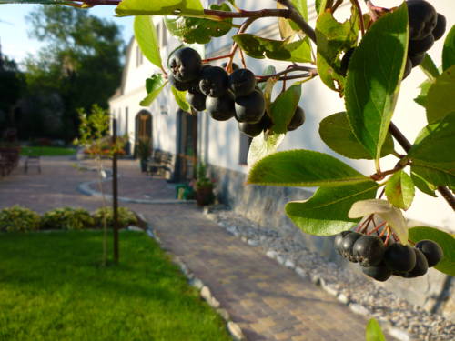 Lubiechowa Polen Laatste minuut Kortingscode Booking.com