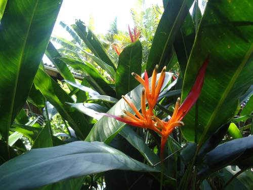 Ilha do Mel (Parana) Brasilien Last-Minute-Rabattcode Booking.com